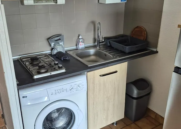 Panoramic 1, Bel Familiale Avec Piscine Et Parking Agde